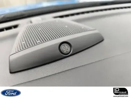 Photo 20 Ford Puma  1.0 Flexifuel 125 ch mHEV S&S BVM6