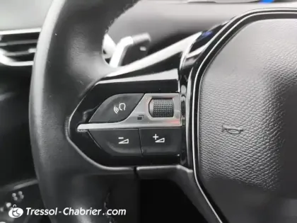 Photo 18 Peugeot 3008 Gén. II Ph1 Allure 5