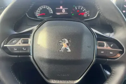 Photo 38 Peugeot 2008  PureTech 100 S&S BVM6