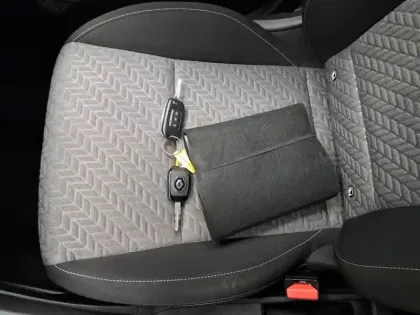 Photo 39 Renault Clio  TCe 100 GPL