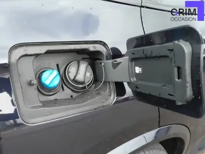 Photo 19 BMW X5  xDrive30d 265 ch BVA8