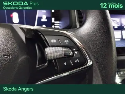 Photo 32 Skoda Kodiaq  1.5 TSI 150 ACT DSG7 5pl