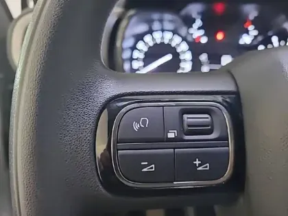 Photo 98 Citroën C3  BlueHDi 100 S&S BVM6