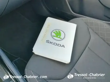 Photo 15 Skoda Kamiq  1.0 TSI Evo 110 ch BVM6 Business