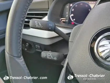 Photo 16 Skoda Kamiq  1.0 TSI Evo 110 ch BVM6 Business