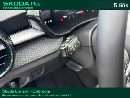 Photo 13 Skoda Fabia  1.0 TSI Evo2 95ch Clever Edition