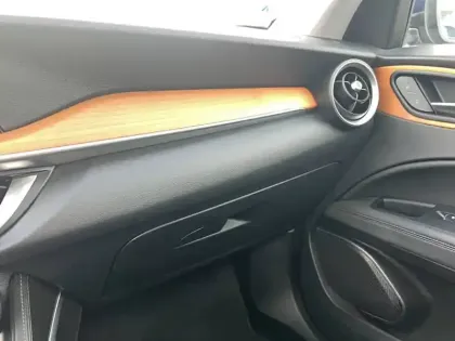 Photo 132 Alfa Romeo Stelvio  2.2 210 ch Q4 AT8