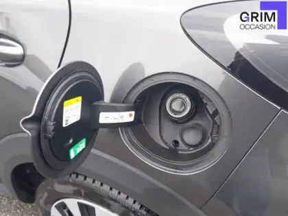 Photo 19 Ford Puma  1.0 Flexifuel 125 ch mHEV S&S BVM6