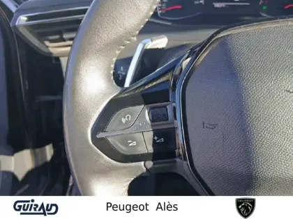 Photo 18 Peugeot 2008 Gén. II Ph1 NG Active Business 5