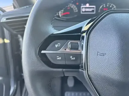 Photo 18 Peugeot 2008 Gén. II Ph2 Style 5