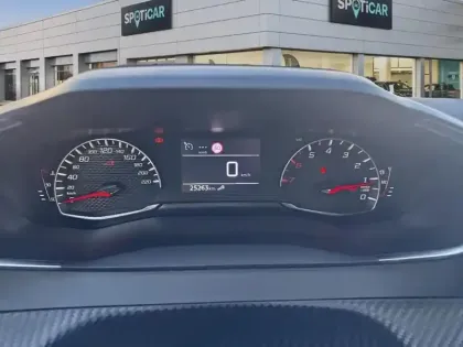 Photo 20 Peugeot 2008 Gén. II Ph2 Style 5