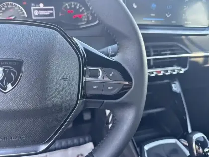 Photo 19 Peugeot 2008 Gén. II Ph2 Style 5