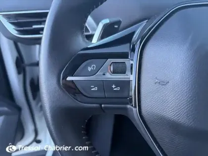 Photo 15 Peugeot 3008  BlueHDi 130ch S&S EAT8 Style