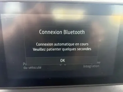 Photo 19 Dacia Sandero Stepway III Extreme ECO-G 100 -24