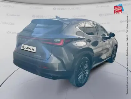 Photo 5 Lexus Nx  450h+ Executive 4WD MY25