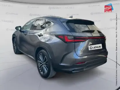 Photo 7 Lexus Nx  450h+ Executive 4WD MY25