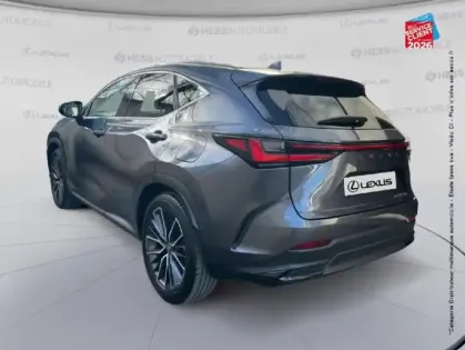 Photo 22 Lexus Nx Gén. II Ph1 Executive 5