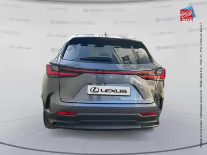 Photo 6 Lexus Nx  450h+ Executive 4WD MY25