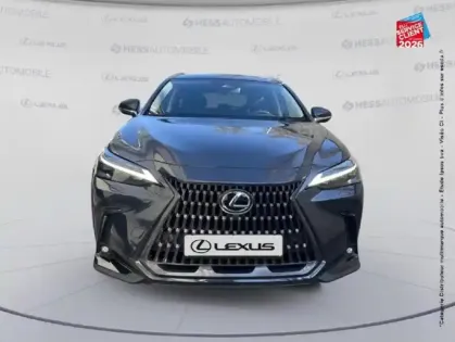 Photo 16 Lexus Nx Gén. II Ph1 Executive 5