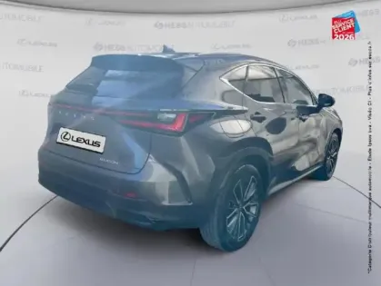 Photo 20 Lexus Nx Gén. II Ph1 Executive 5