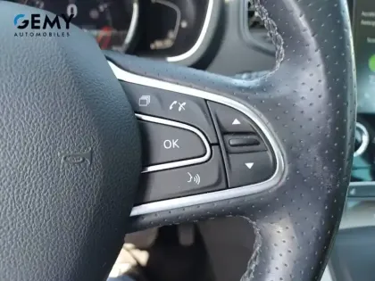 Photo 14 Renault Scenic Grand  TCe 160 FAP EDC