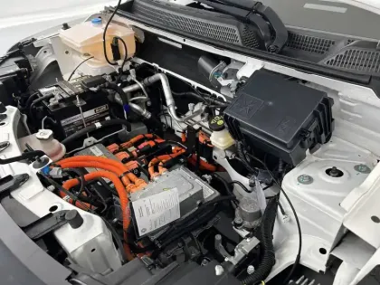 Photo 26 Dacia Spring Gén. I (BBG) Ph1 Business 5