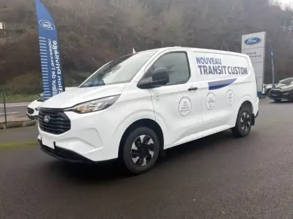 Photo Ford Custom Trend