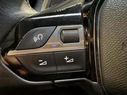 Photo 14 Peugeot 208 Gén. II Ph1 NG Roadtrip 5