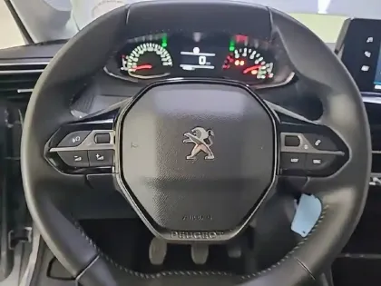 Photo 59 Peugeot 208 Gén. II Ph1 NG Style 5