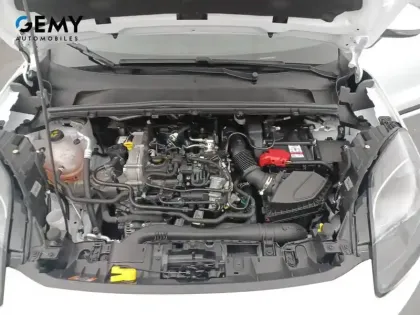 Photo 32 Ford Puma  1.0 Flexifuel 125 ch mHEV S&S BVM6