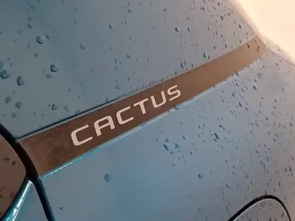 Photo 35 Citroën C4  Cactus BlueHDi 100 S&S BVM6