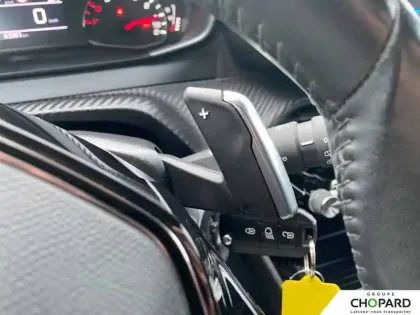 Photo 46 Peugeot 2008  PureTech 130 S&S EAT8