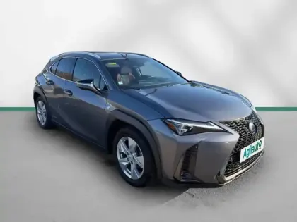 Photo 531 Lexus UX  250h 2WD