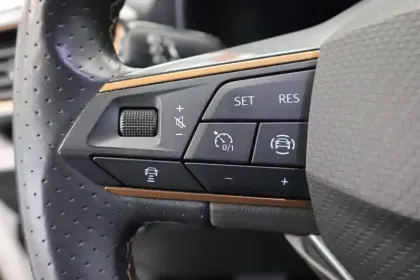 Photo 31 Cupra Formentor  2.0 TDI 150 ch