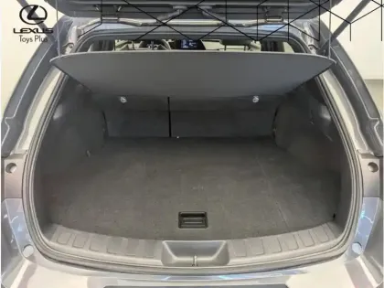 Photo 11 Lexus UX 300h 2WD F SPORT DESIGN