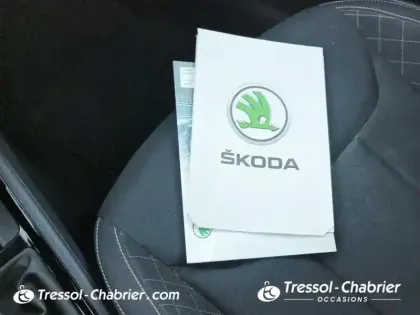 Photo 15 Skoda Kamiq  1.0 TSI Evo 110 ch DSG7 Ambition