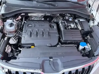 Photo 6 Skoda Kodiaq  2.0 TDI 150 SCR DSG7 4x4 7pl Style