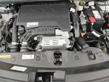 Photo 113 Peugeot 2008  PureTech 100 S&S BVM6