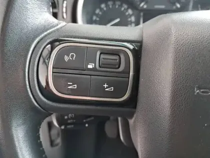 Photo 19 Citroën C3 Gén. III Ph1 Shine 5