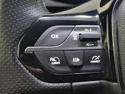 Photo 122 Peugeot 308  PHEV 225 e-EAT8