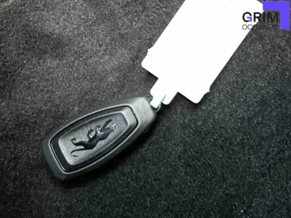 Photo 25 Ford Puma  1.0 EcoBoost 125 ch mHEV S&S BVM6