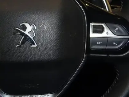 Photo 14 Peugeot 3008  1.5 BlueHDi 130ch S&S Active Business EAT8