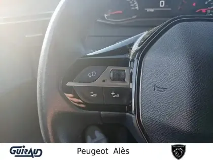 Photo 15 Peugeot 208 Gén. II Ph1 NG Style 5