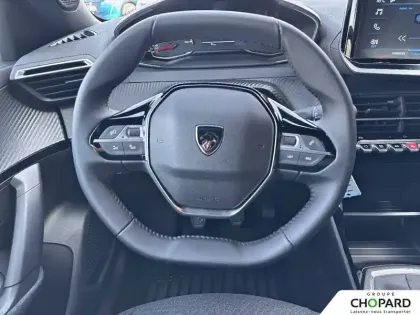 Photo 13 Peugeot 2008  100 S&S BVM6