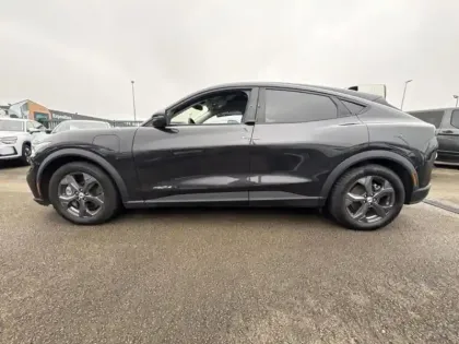 Photo 7 Ford Mustang Gén. I Ph1 Base 5