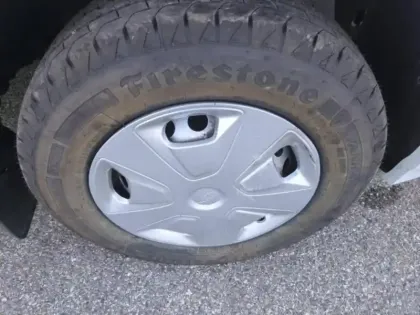 Photo 9 Ford Custom Gén. I Ph2 Trend Business 4