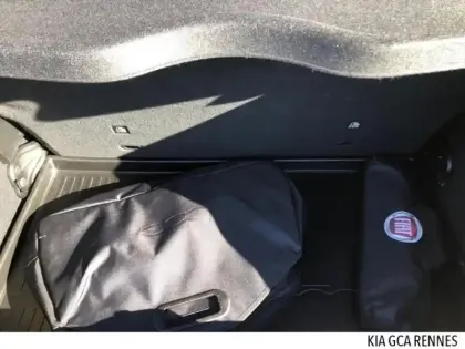 Photo 14 Fiat 500 Gén. II Ph1 MY22 Icône 3