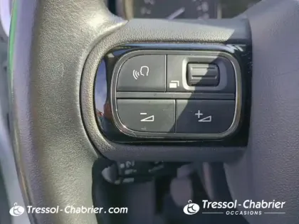 Photo 18 Citroën C3  BlueHDi 100 S&S BVM5 Shine Business