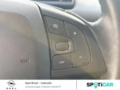 Photo 8 Citroën C4  Cactus PureTech 110ch S&S Shine EAT6 E6.d-TEMP