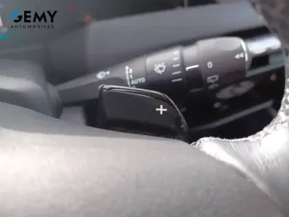 Photo 15 DS DS 4  Hybride E-Tense 225 EAT8